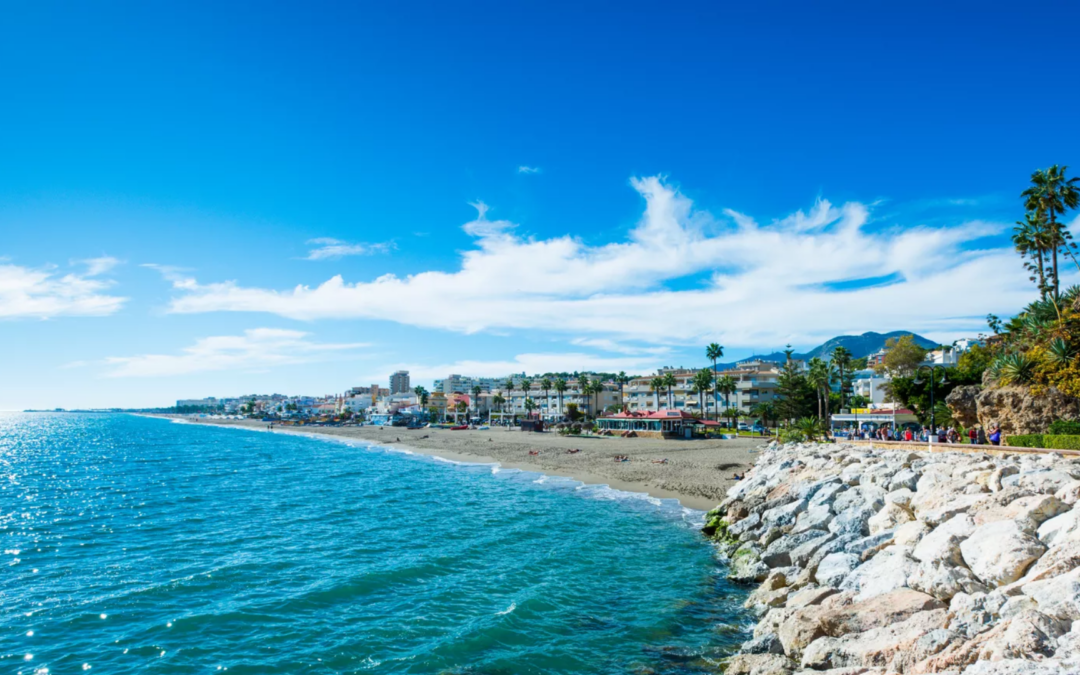 Australian Age Group Team announced for 2024 World Triathlon Championships